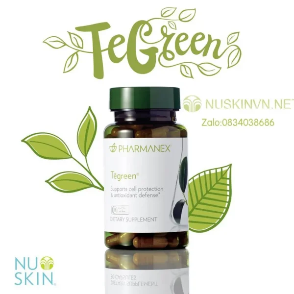 Trà xanhTegreen97 - Hỗ Trợ Chống oxy hóa, Bảo vệ tế bào, Giảm căng thẳng(120viên)