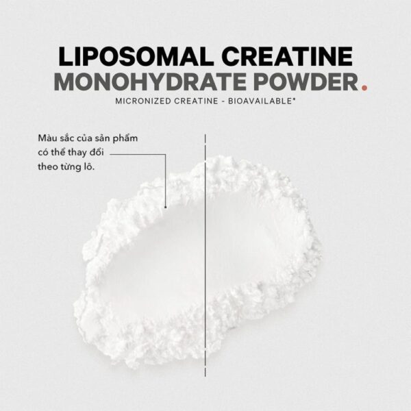 Bột Hỗ Trợ tăng cơ Codeage Liposomal Creatine Monohydrate - Hình ảnh 4